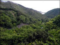 坂の頂上にて。山の向こうに海が見える。