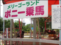 ポニー