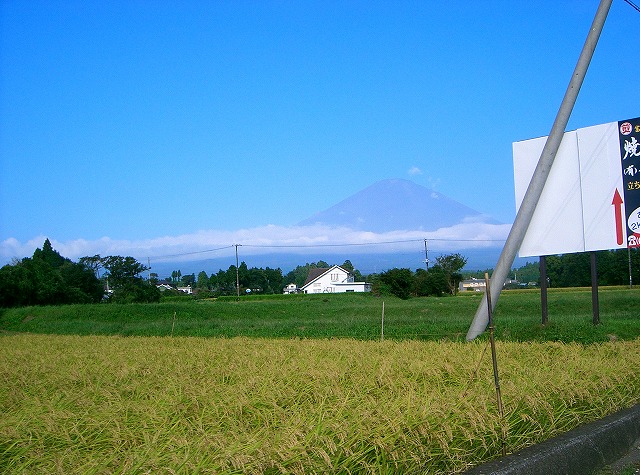 06.jpg