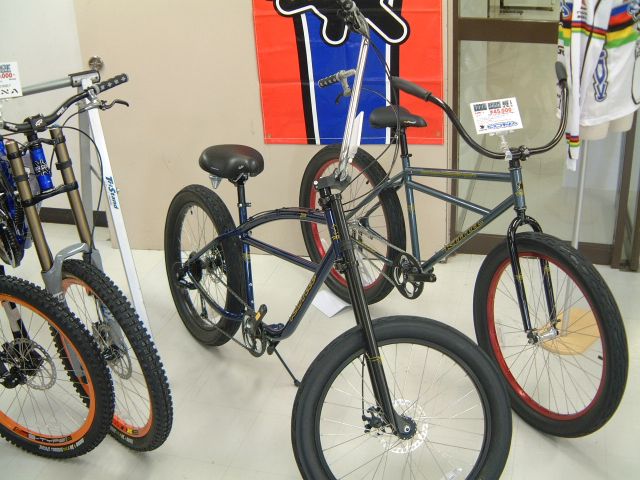 06.JPG