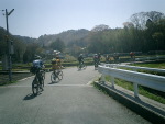 05.pvw.jpg