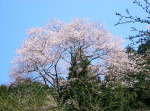 天台山ツーリング
