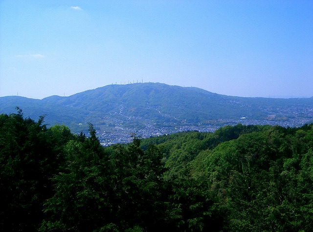 16.jpg