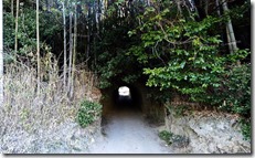 手彫り隧道 手彫り隧道