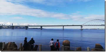 IMG_20241124_082203
