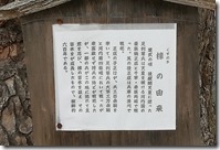 IMG_20241124_110435