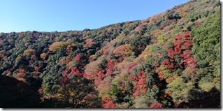IMG_20241201_085626