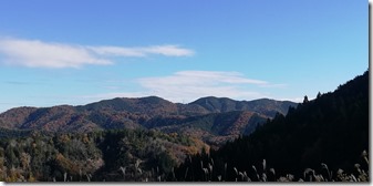 IMG_20241201_102835
