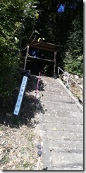 IMG_20241201_103511