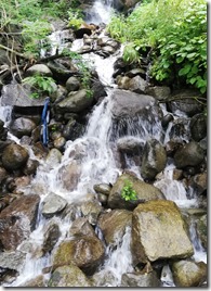 IMG_20240721_130906