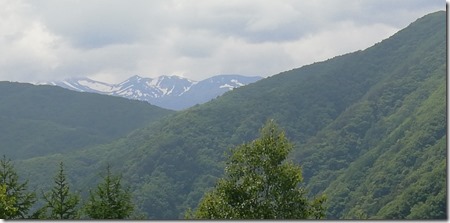IMG_20230621_132055 IMG_20230621_132055
