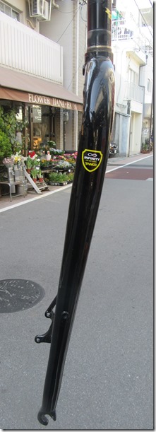 IMG_1137 IMG_1137